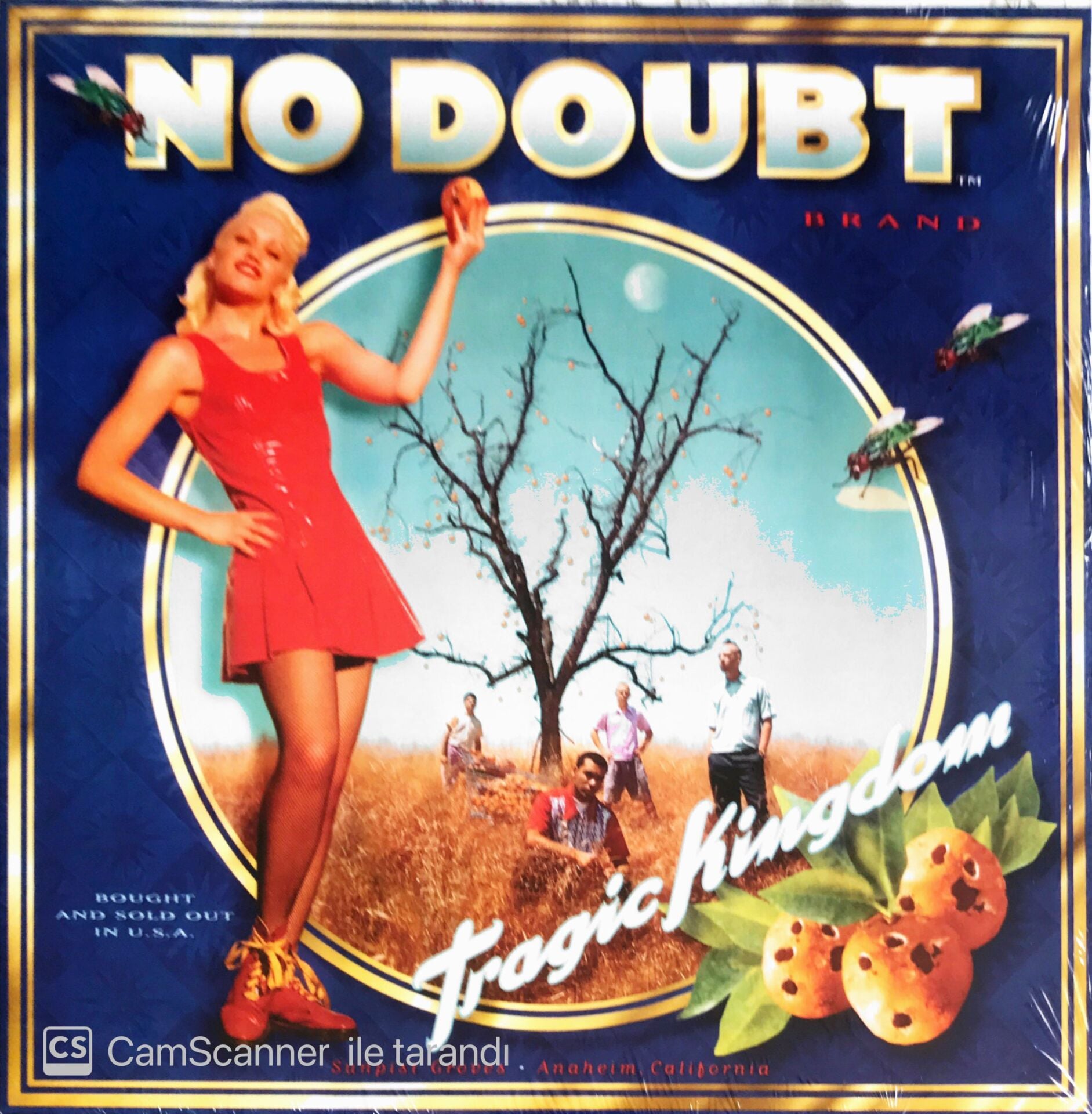 No Doubt - Tragic Kingdom - LP