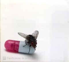 Red Hot Chili Peppers - I'm With You CD