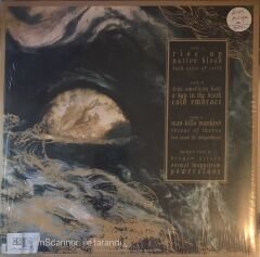 Testament Dark Roots Of Earth LP