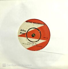 Beyaz Kelebekler Bu Seni Özleyişim 45lik