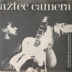 Aztec Camera Working In A Goldmine 45lik