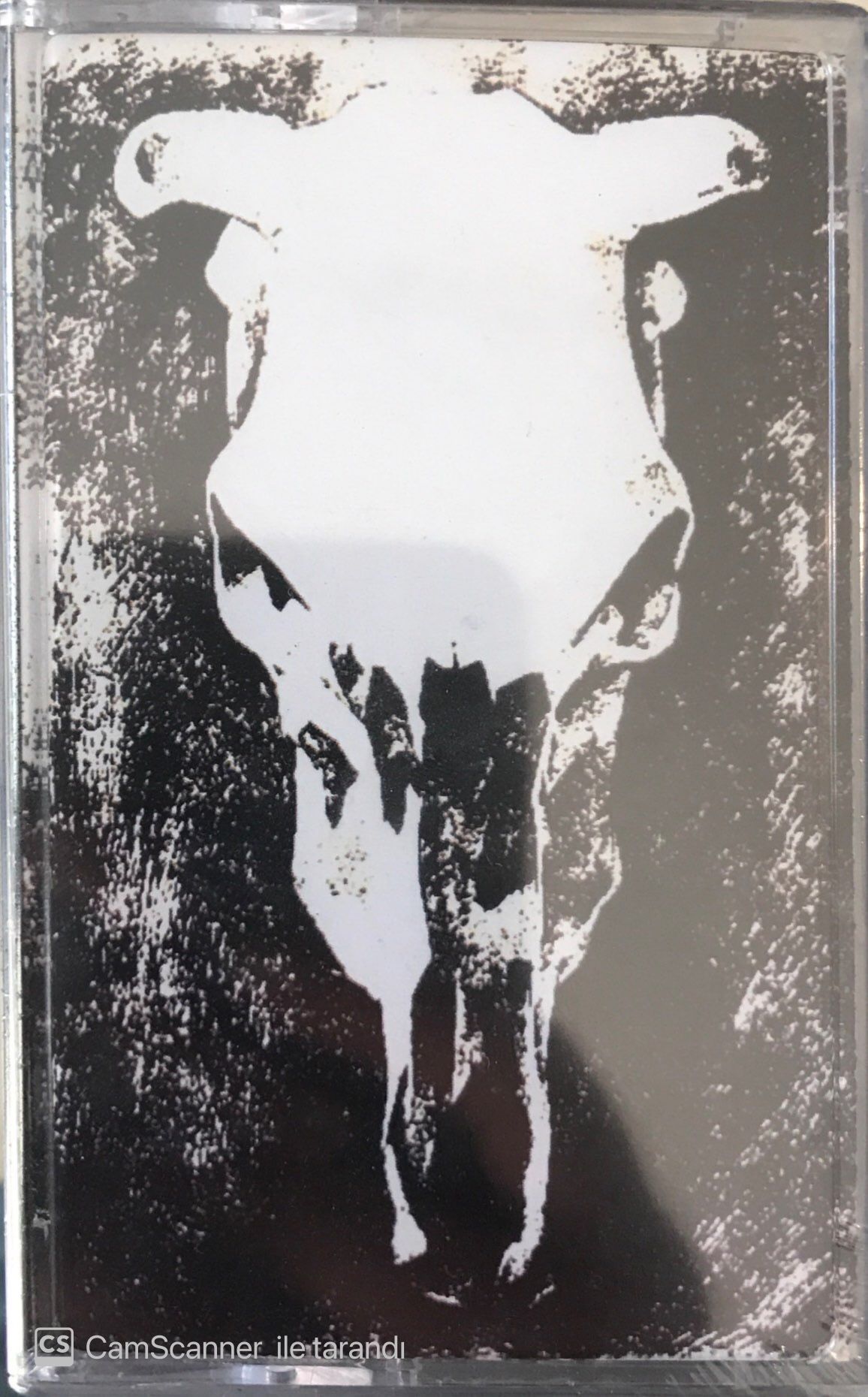 Sapık İnek - En Bi Sapık İnek KASET