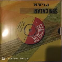 Behiye Aksoy - Saçının Tellerine 45lik