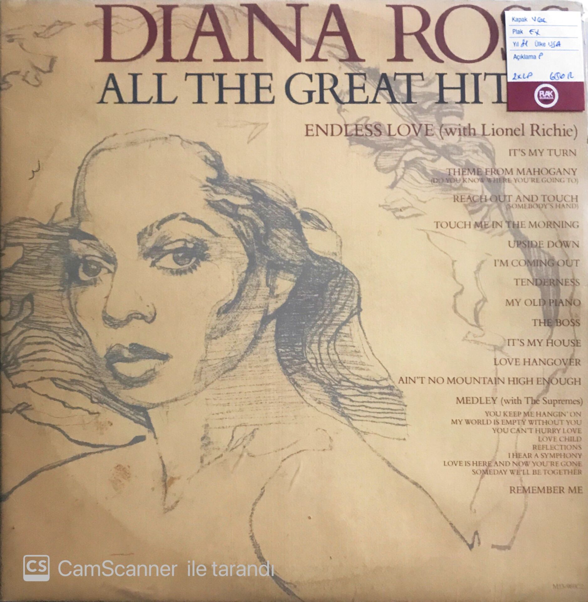 Diana Ross - All The Great Hits - Double LP