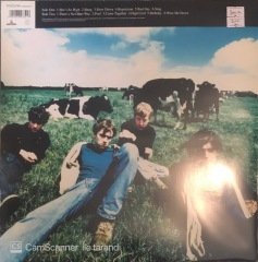 Leisure Blur LP