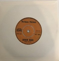 Neriman Tüfekçi Ay Dolanaydı 45lik