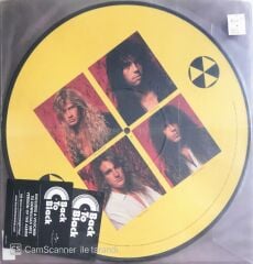 Megadeth - Rust In Peace (Picture Disc) - LP