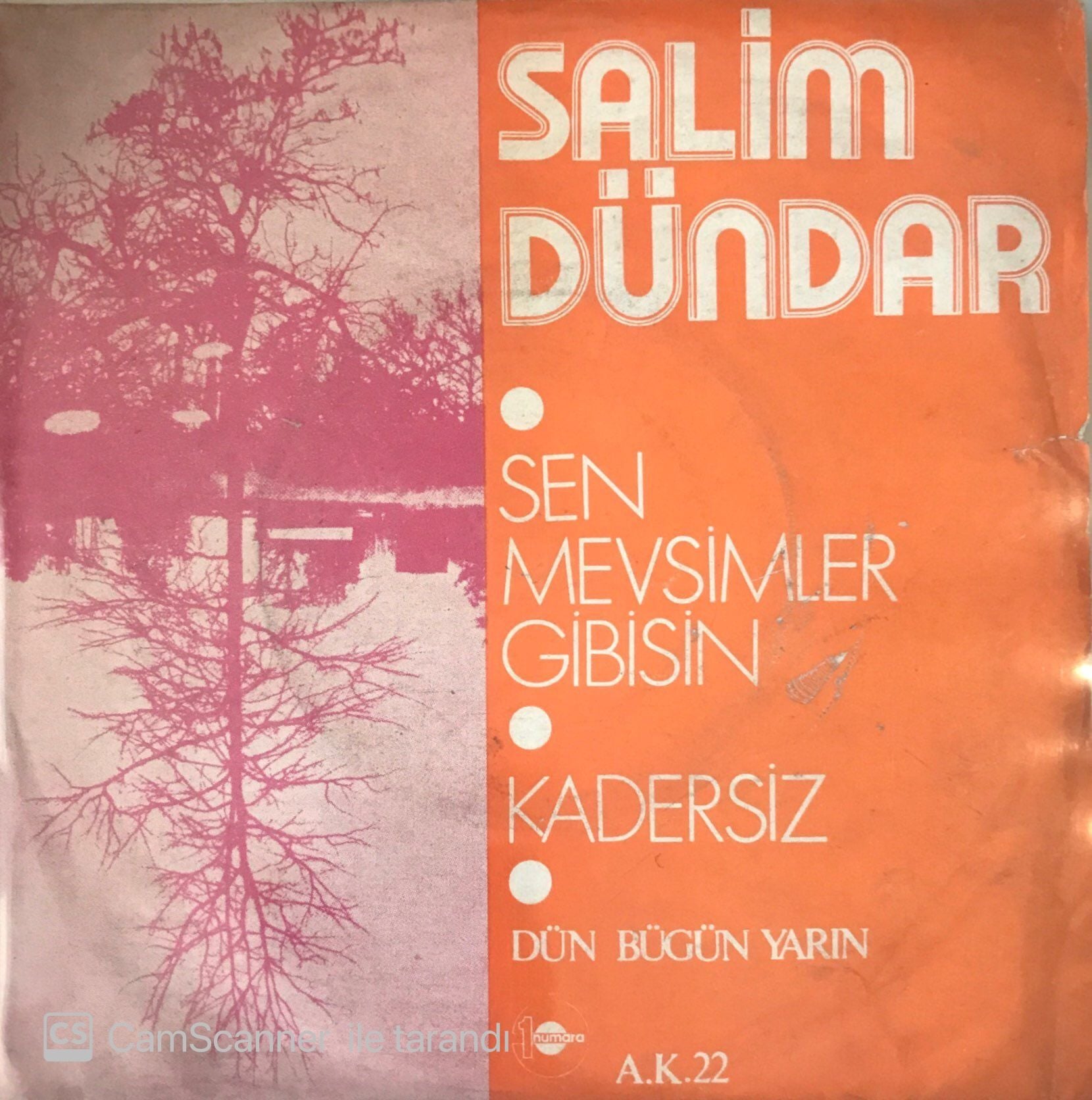Salim Dündar Sen Mevsimler Gibisin 45lik