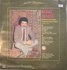 Bedri Ayseli Düşünme Yanındayım Hamayli Boynundayım LP