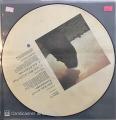 Bee Gees - You Win Again Extended Mix Picture Disc MAXİ