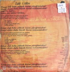 Kayahan - Bekle Gülüm/Ateş - 45'lik