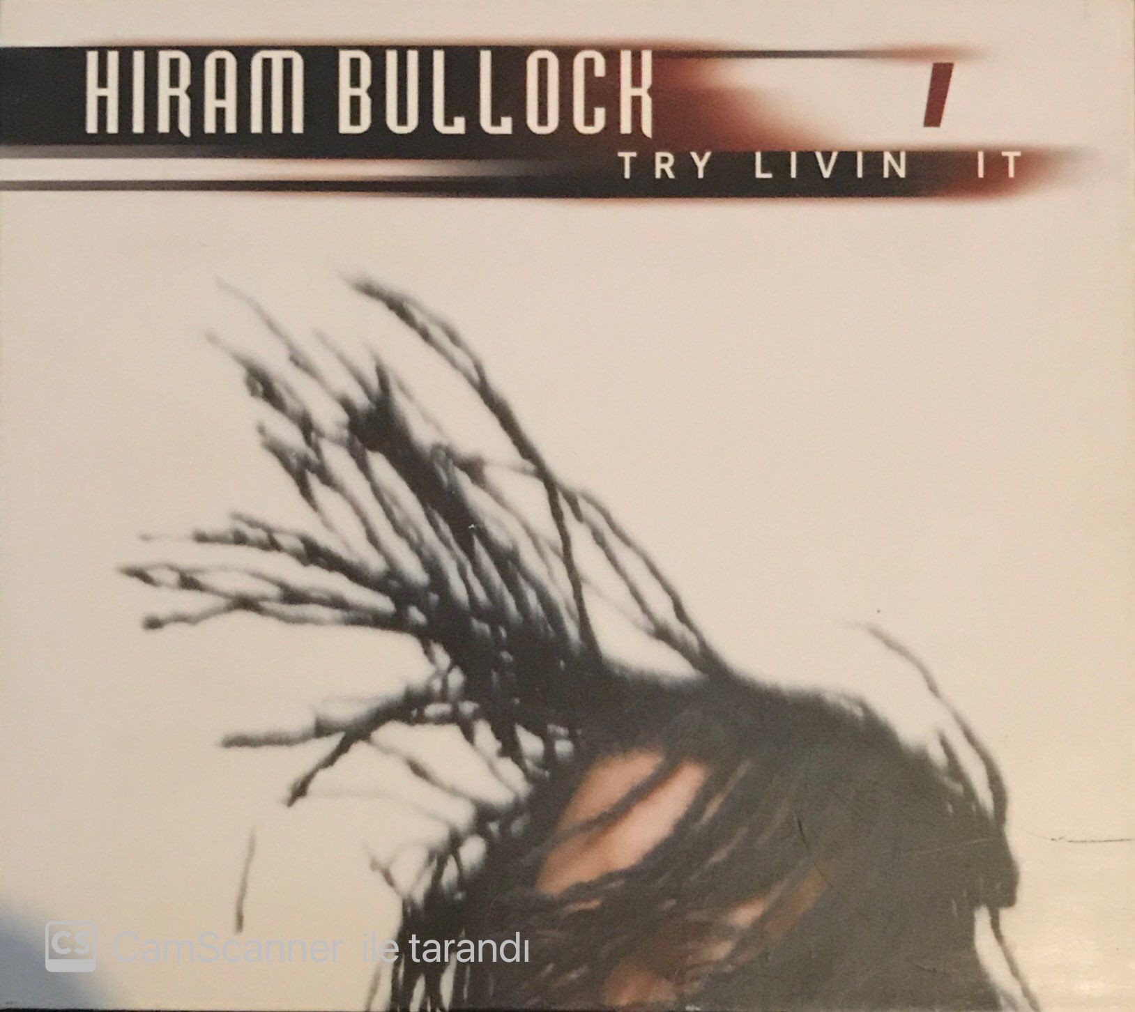 Hiram Bullock - Try Livin' It  CD