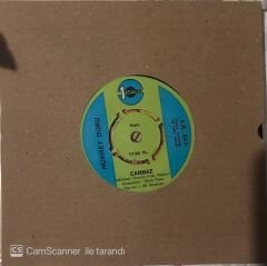 Nükhet Duru - Cambaz 45lik