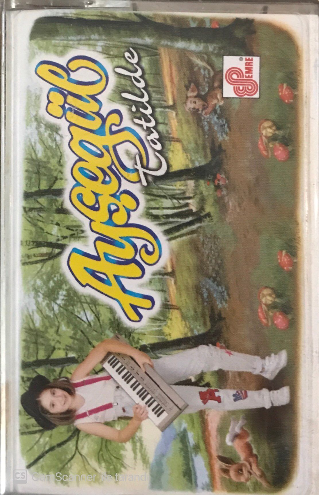 Ayşegül - Tatilde KASET