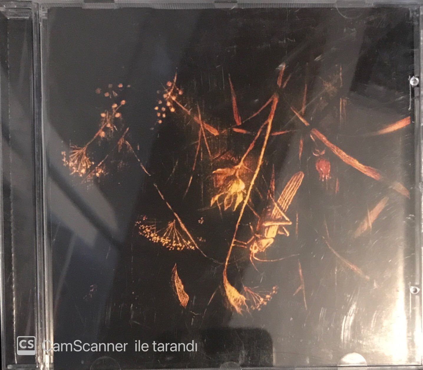 Pat Metheny & Anna Maria Jopek - Upojenie  CD