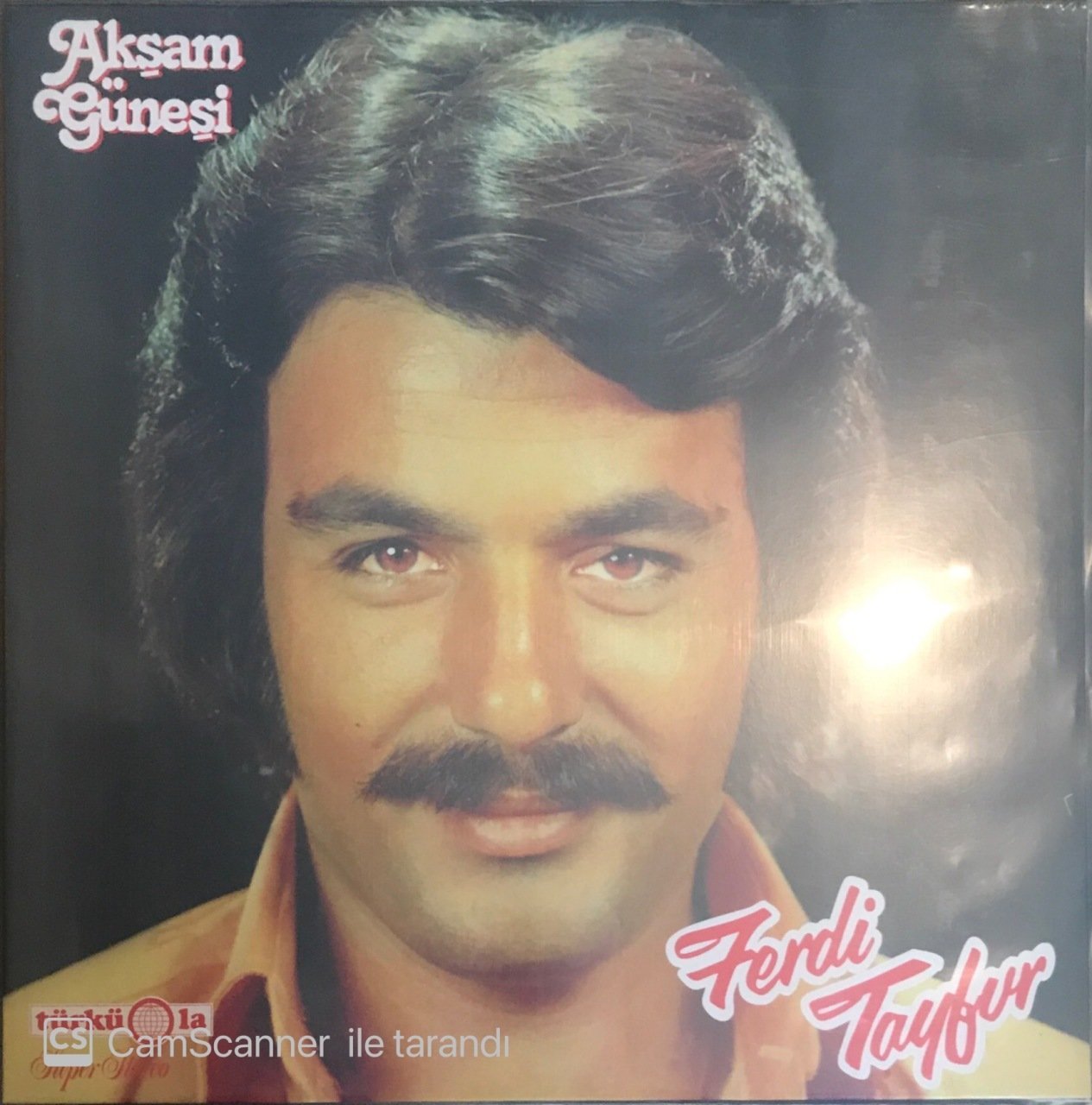 Ferdi Tayfur Akşam Güneşi LP