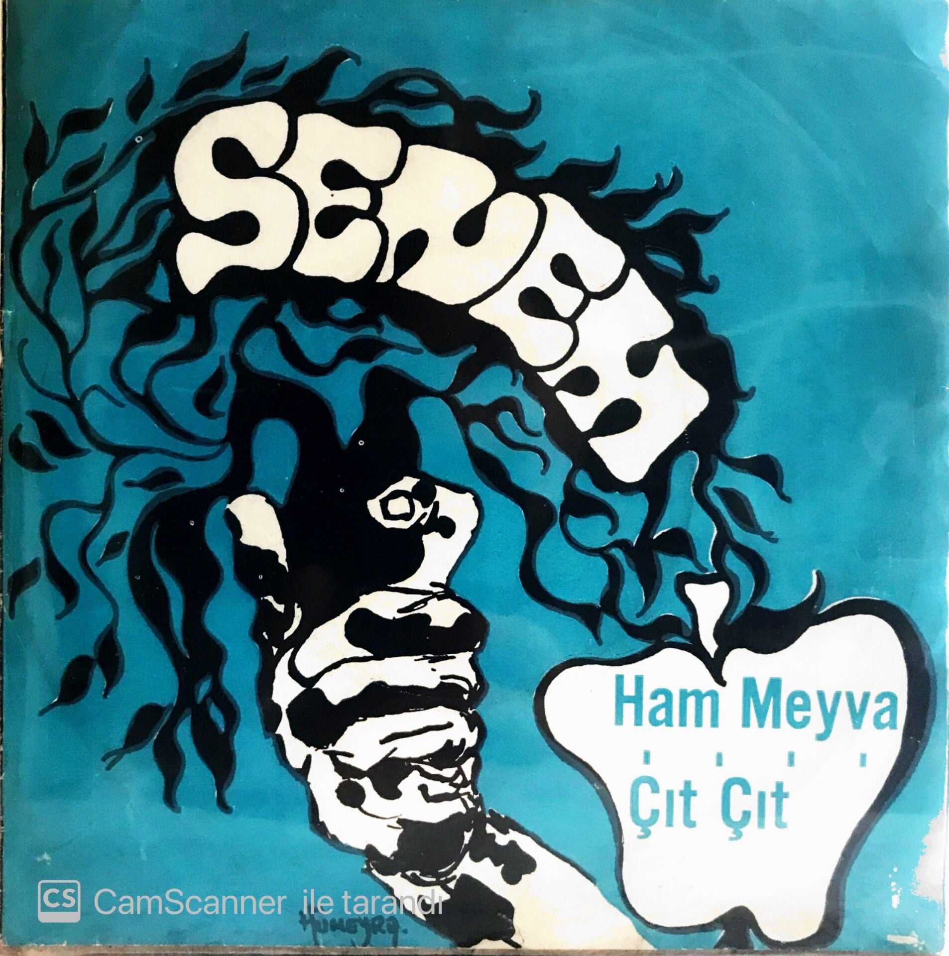 Senem - Ham Meyva 45lik
