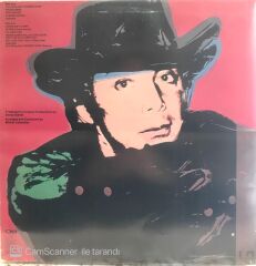 Paul Anka The Painter LP