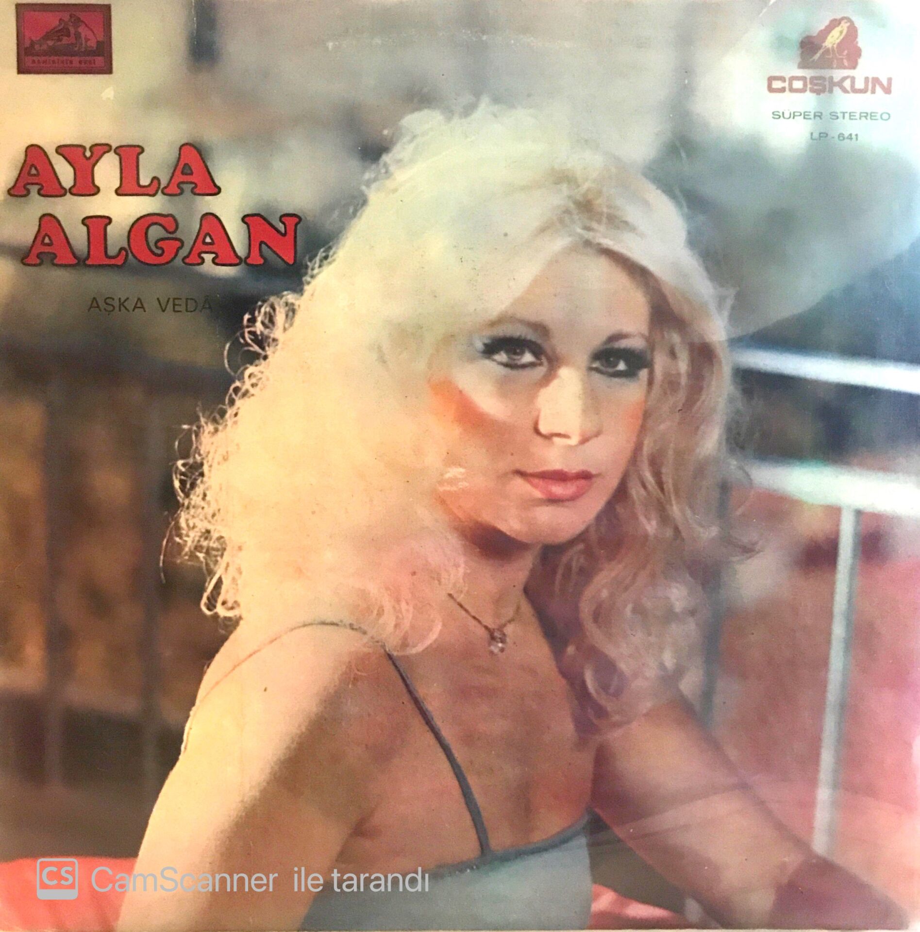 Ayla Algan Aşka Veda LP