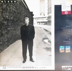 Black - Wonderful Life - LP