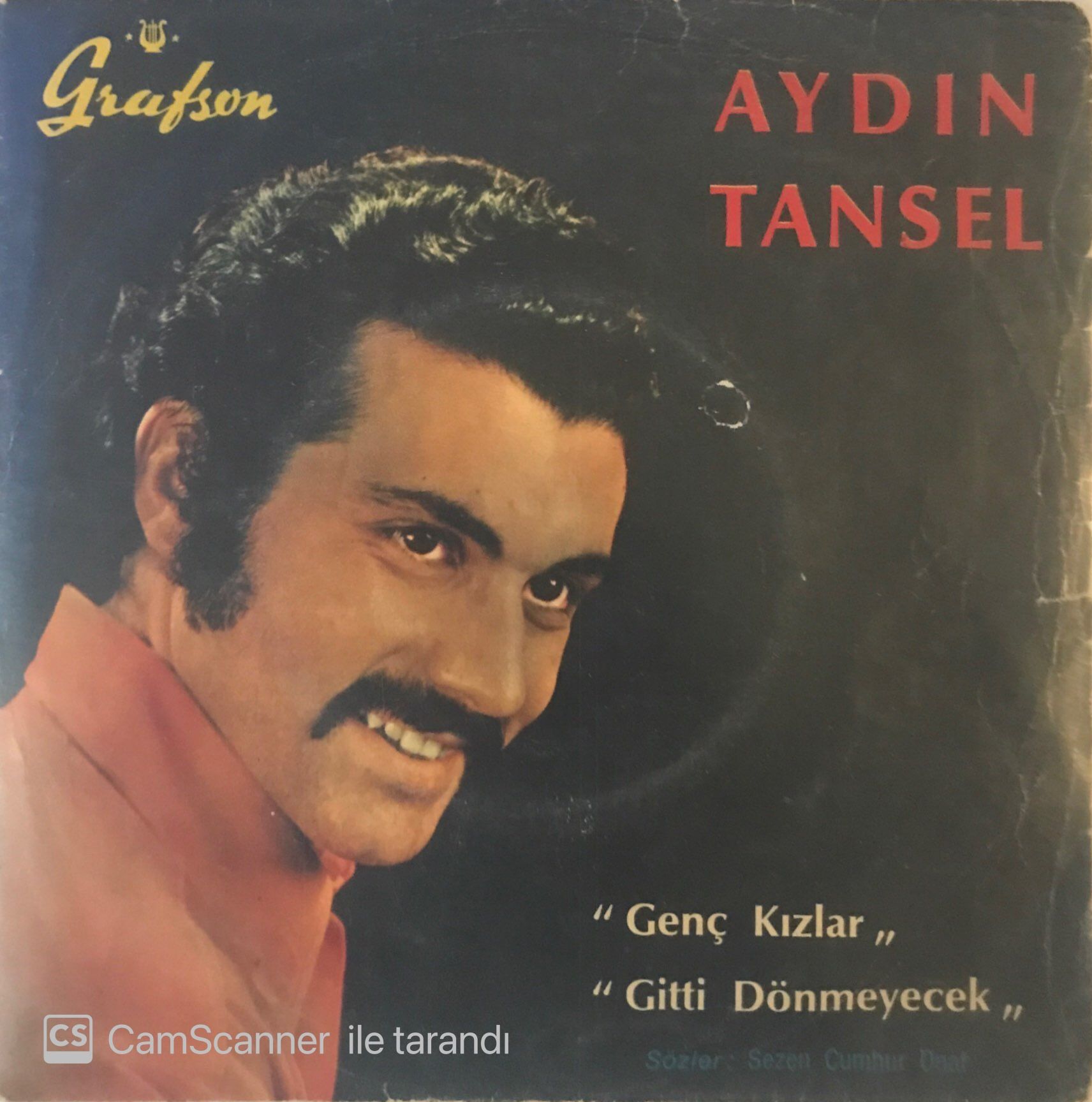 Aydın Tansel Genç Kızlar 45lik