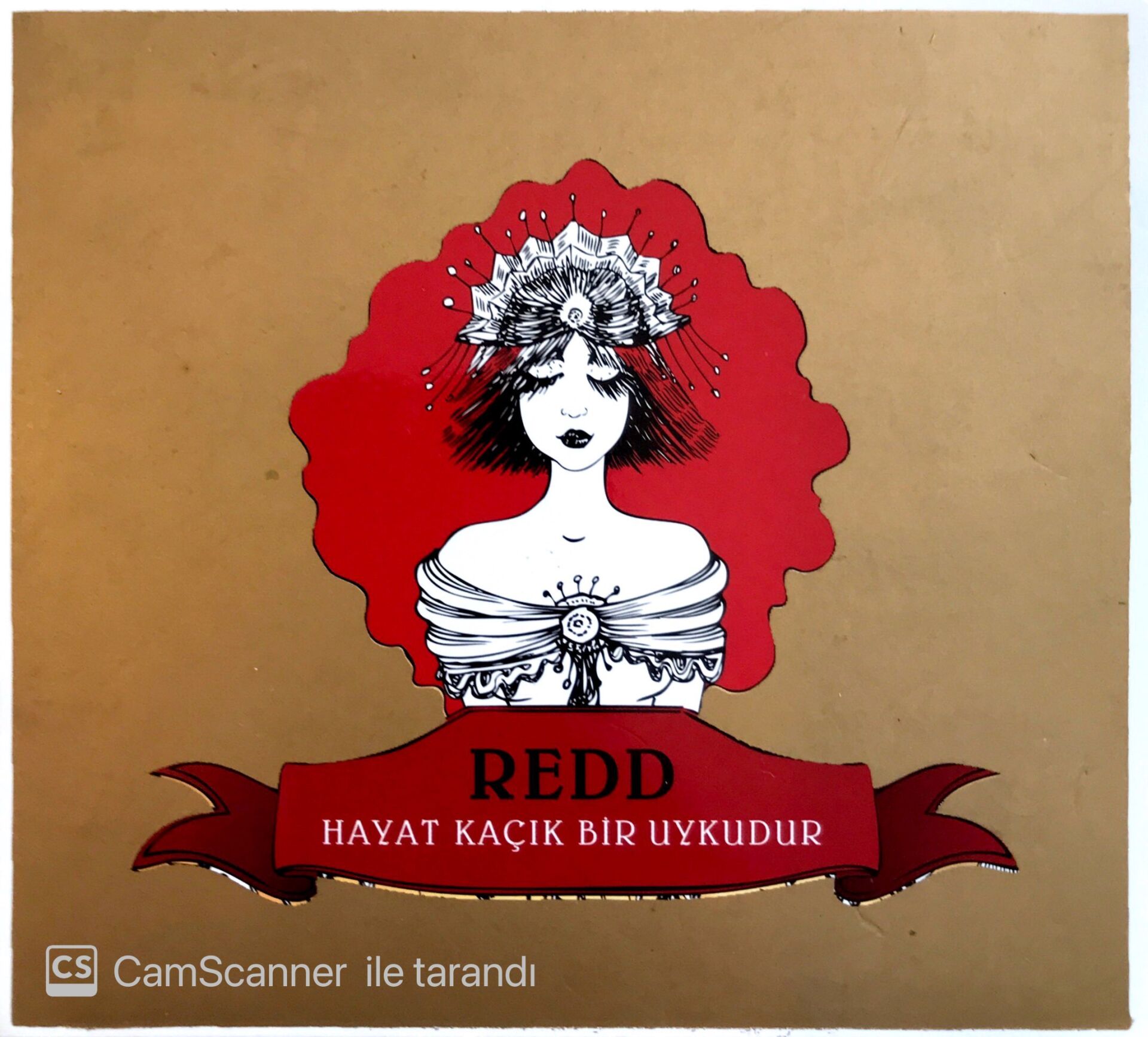 Redd Hayat Kaçık Bir Uykudur CD