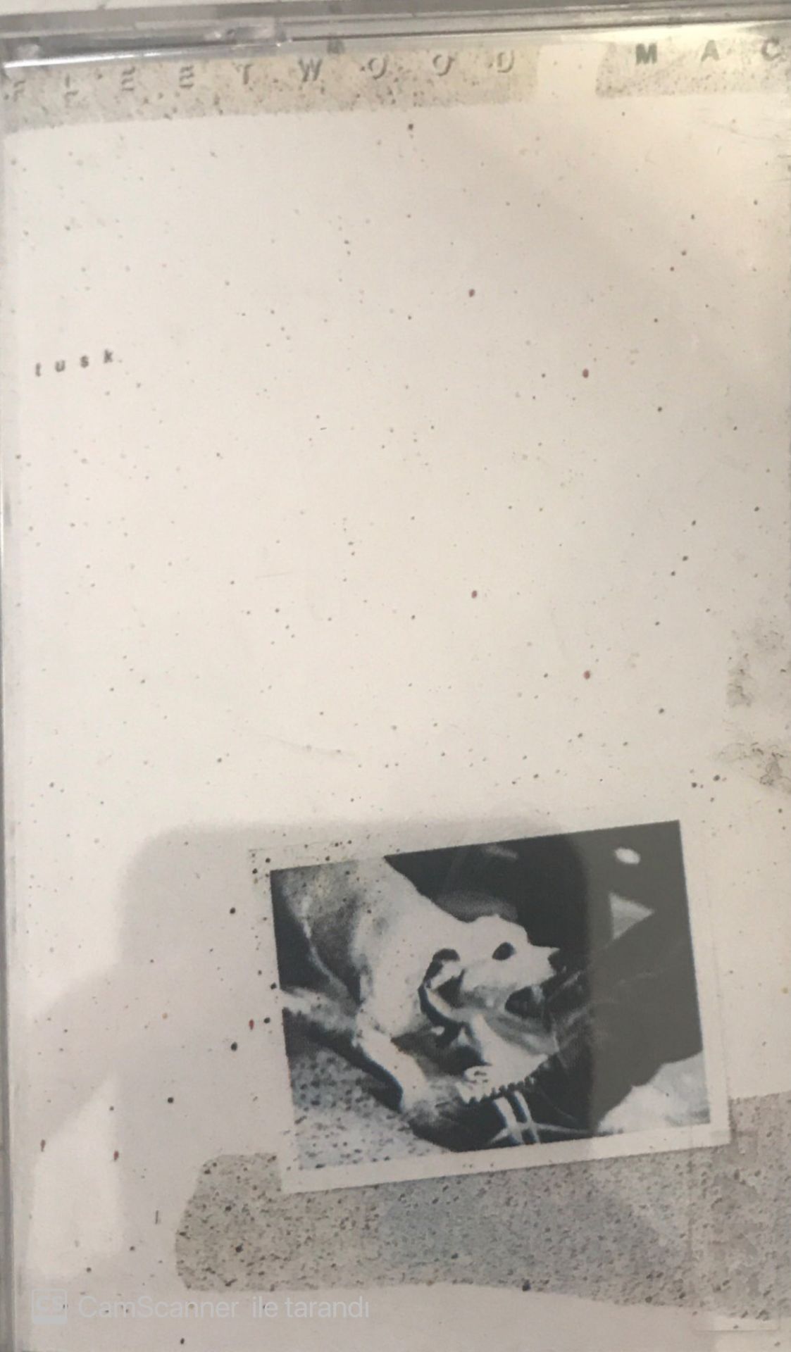 Fleetwood Mac Tusk KASET
