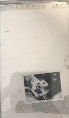 Fleetwood Mac Tusk KASET