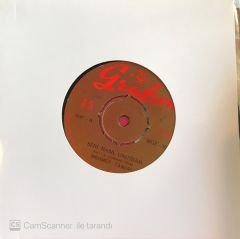 Mehmet Taneri - Seni Nasıl Unutsam 45lik