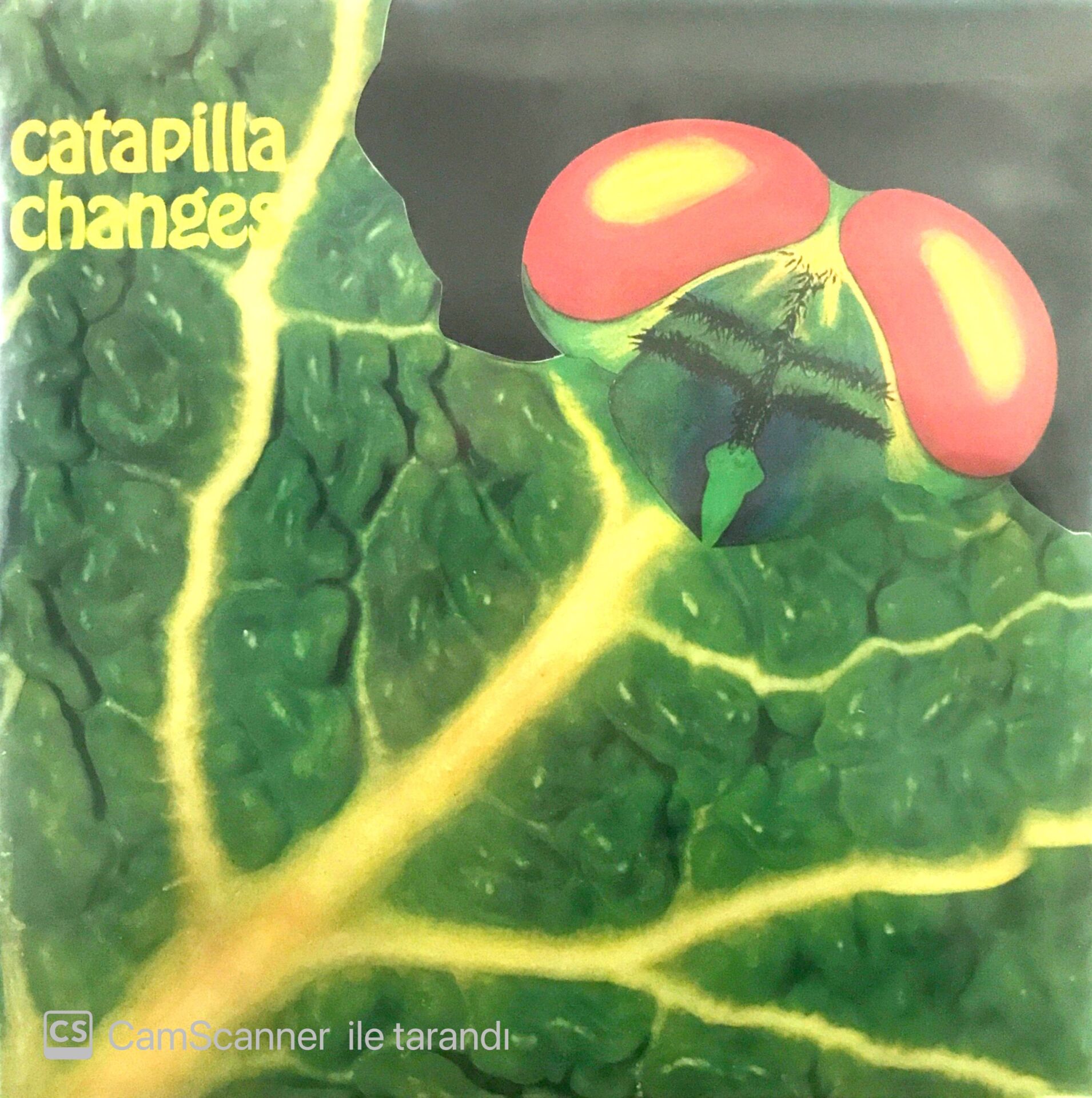 Catapilla Changes LP