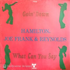 Hamilton, Joe Frank & Reynolds / Goin' Down 45'lik