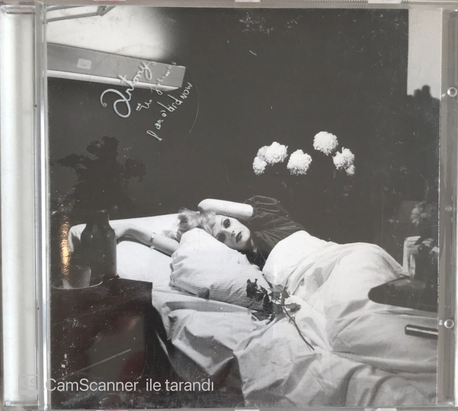 Antony And The Johnsons - I Am A Bird Now CD