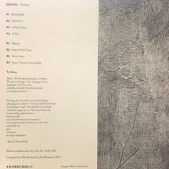 Ekin Fil - Feelings LP (Limitli Baskı)