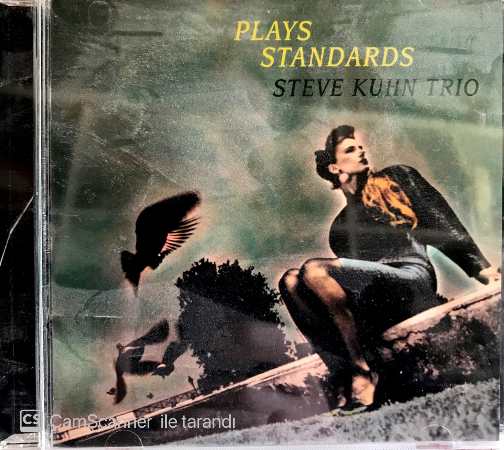 Steve Kuhn Trio Plays Standards CD