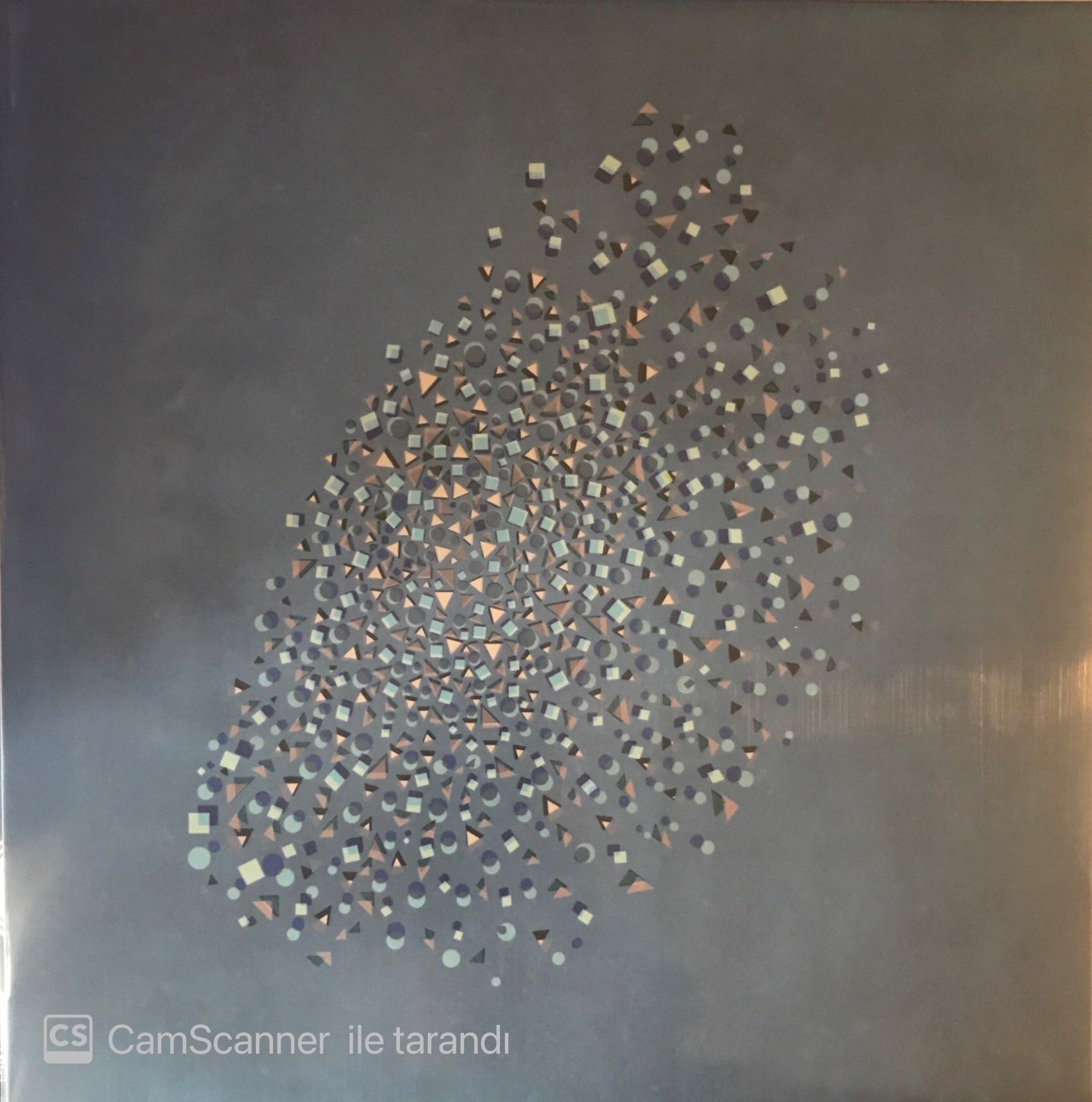 The Expansıons - Murmuratıon LP
