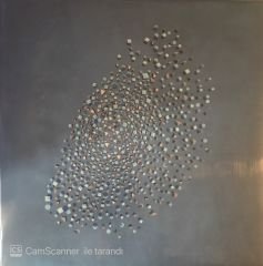The Expansıons - Murmuratıon LP