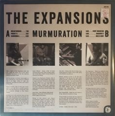 The Expansıons - Murmuratıon LP