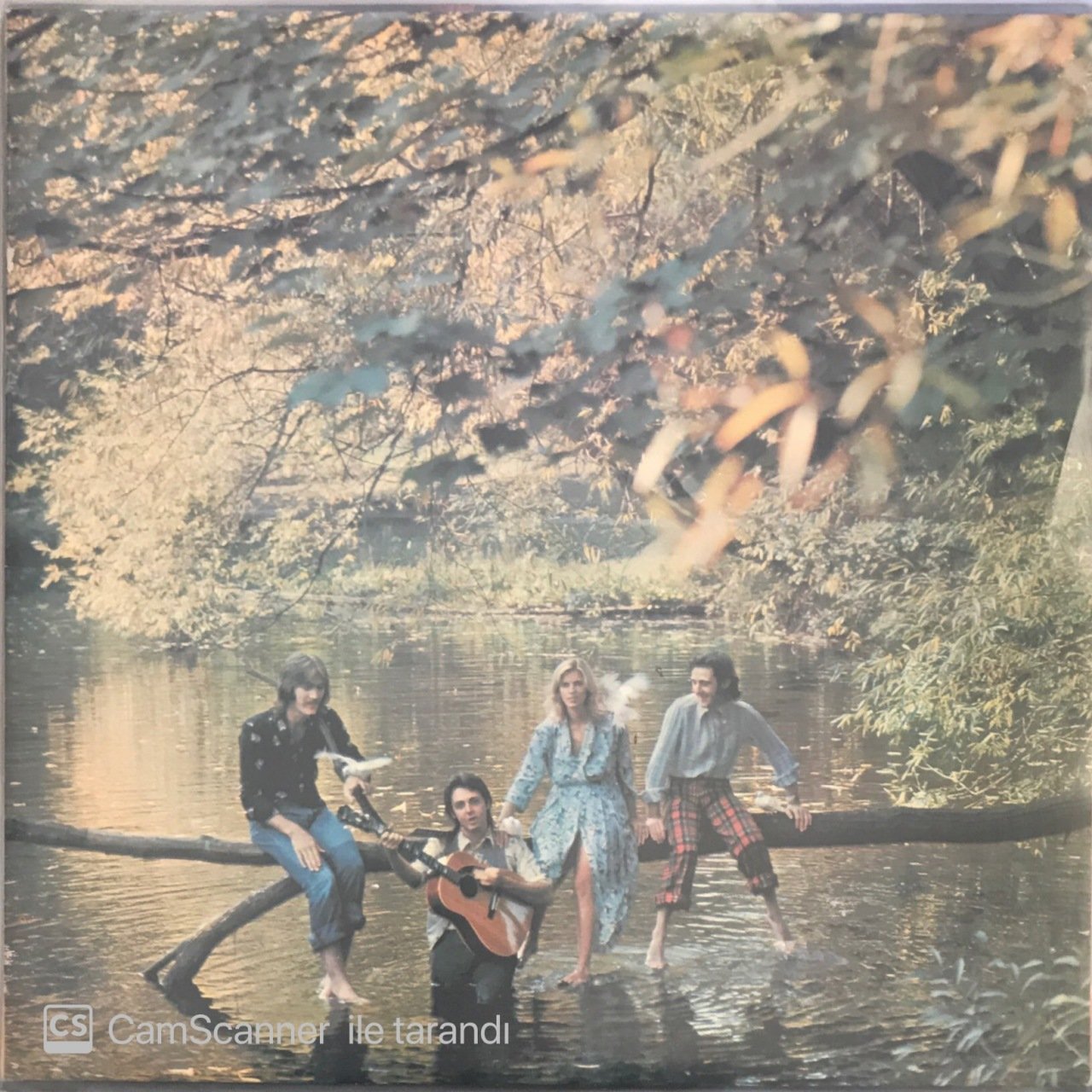 Wings Wild Life LP