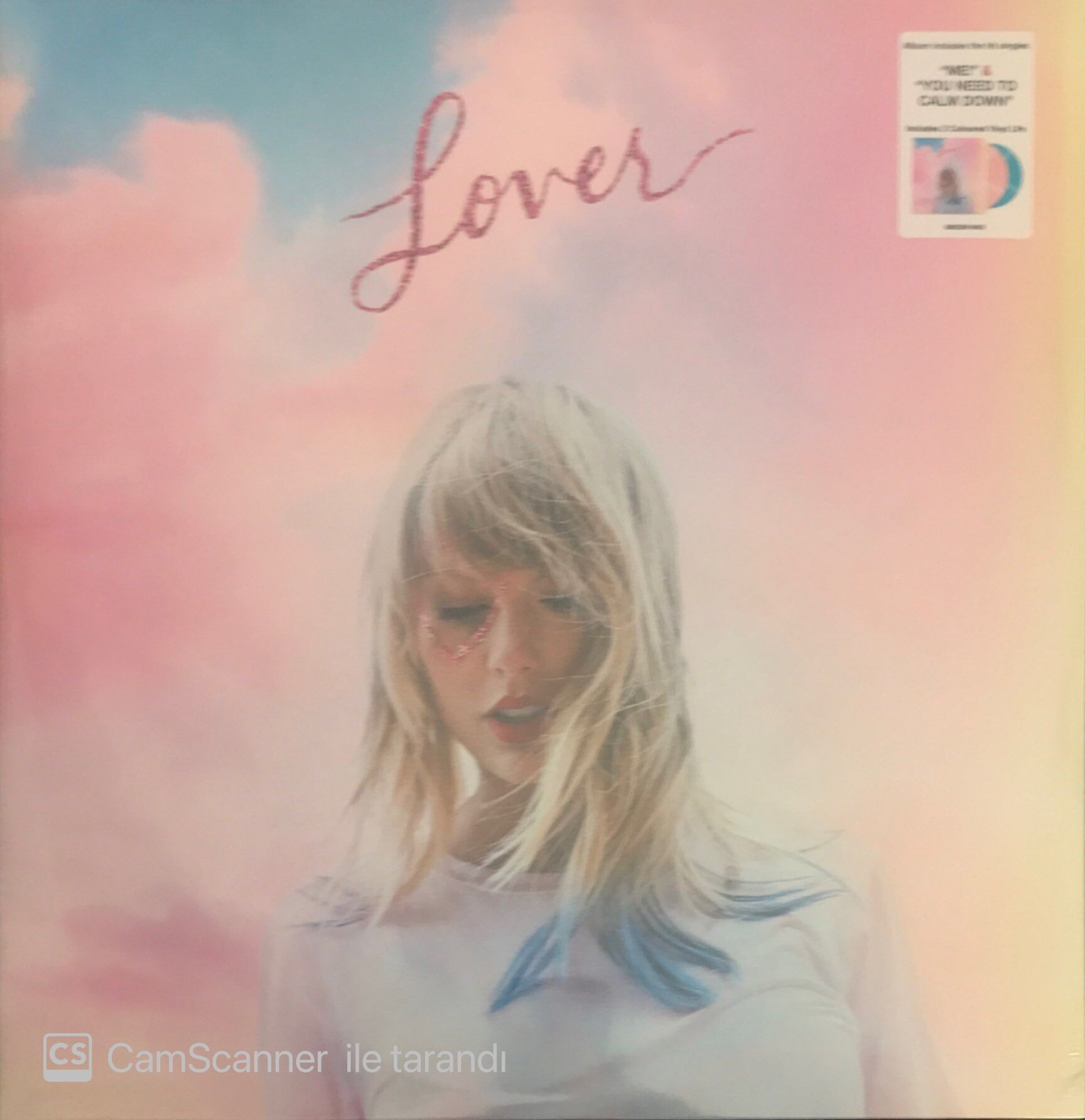 Taylor Swift Lover Colored Vinly Double LP