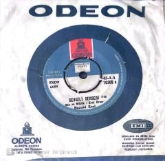 Buzuki Erol Sevgili Serseri 45lik