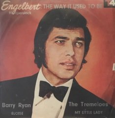 Barry Ryan My Little Lady 45lik