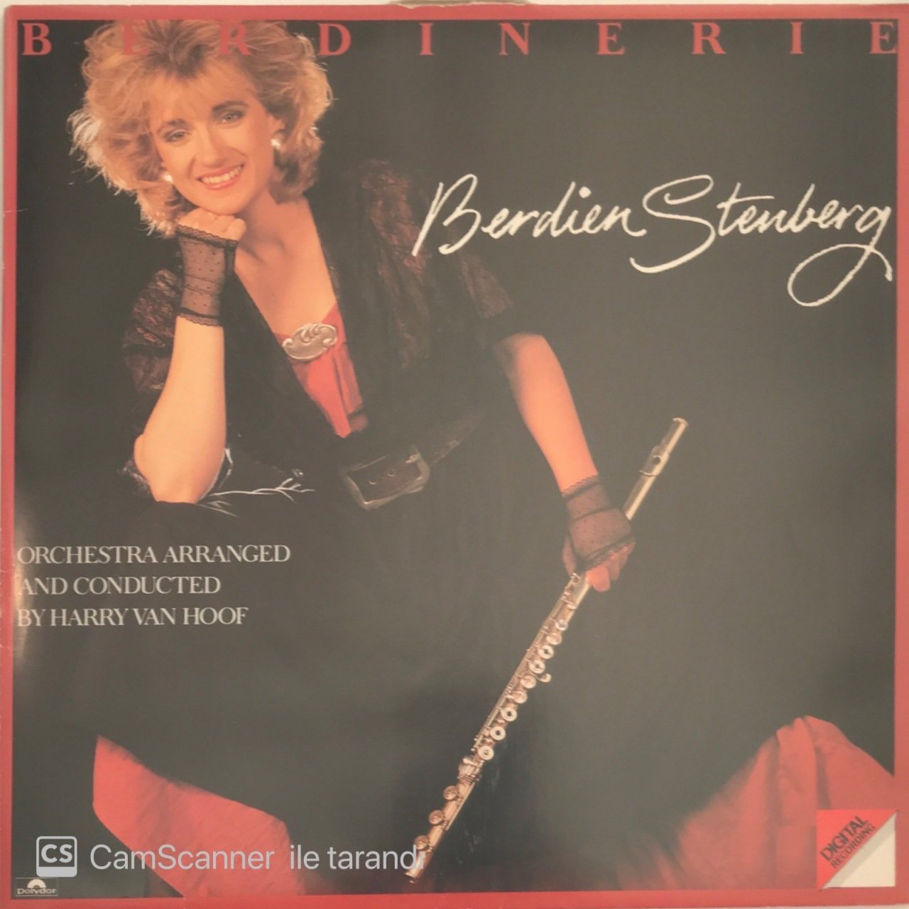Berdinerie Berdien Stenberg LP