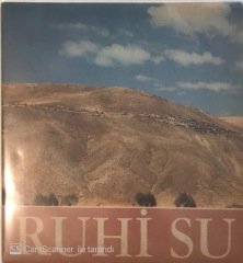 Ruhi Su Heyamcı 45lik