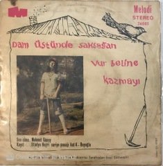 Parla Şenol Dam Üstünde Saksağan 45lik