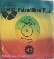 Ahmet Demir - Fıratın Akışına 45lik