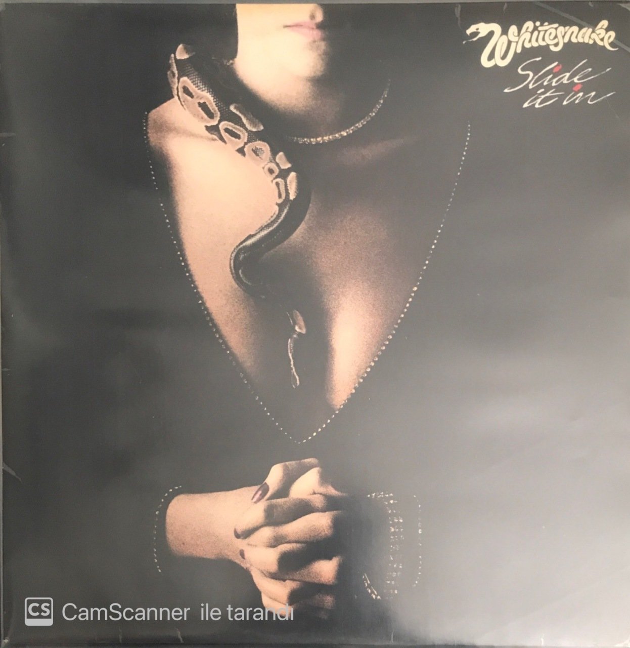 Whitesnake Slide It In LP