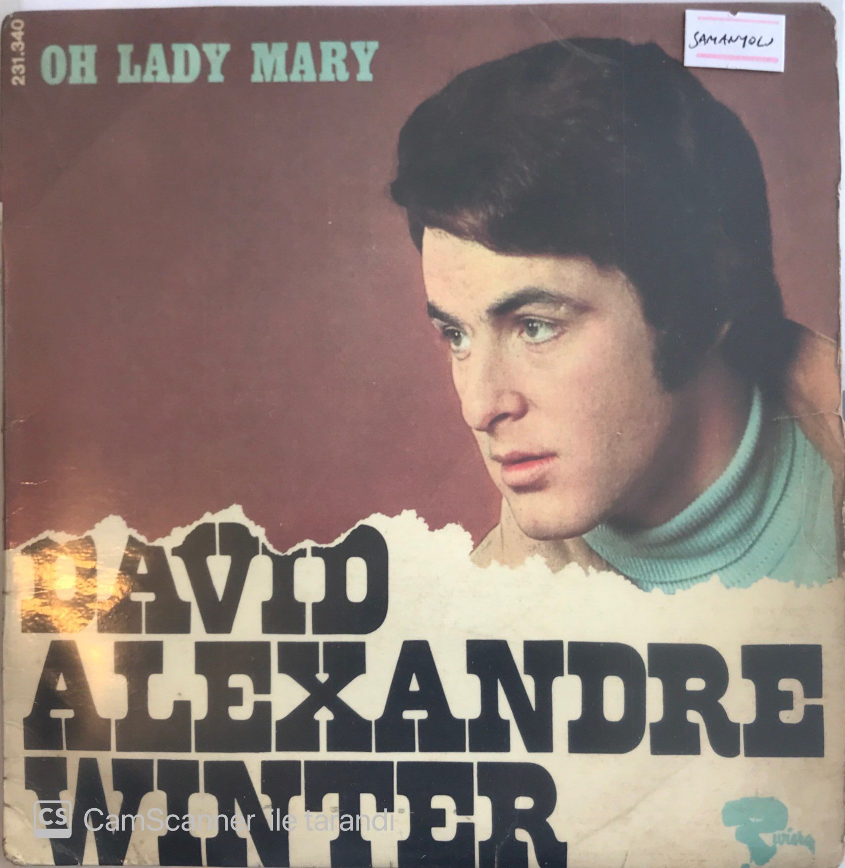 David Alexandre Winter Oh Lady Mary 45lik (Samanyolu)