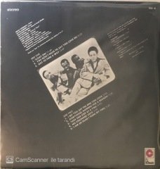 The Floaters LP