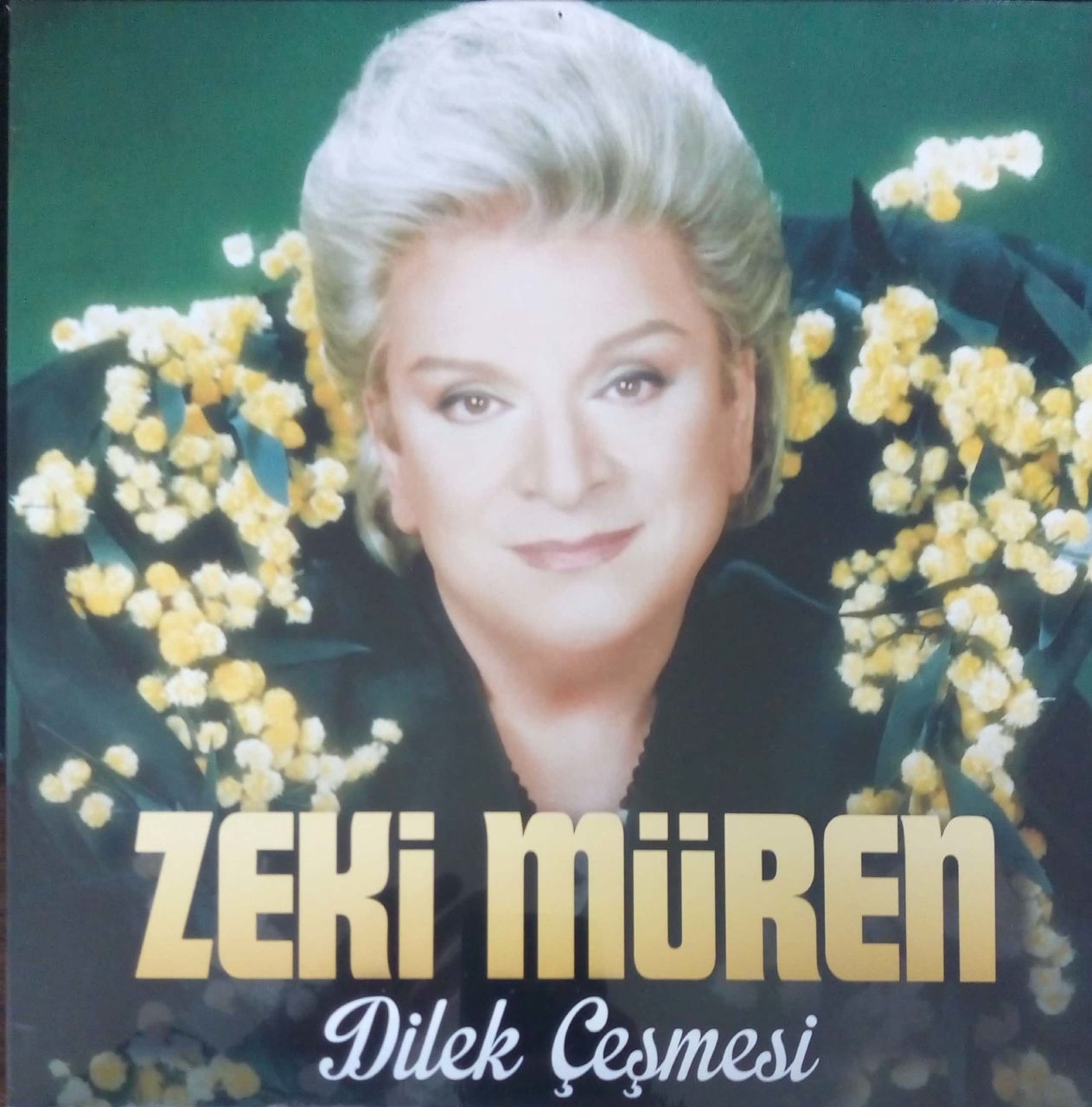 Zeki Müren Dilek Çeşmesi LP