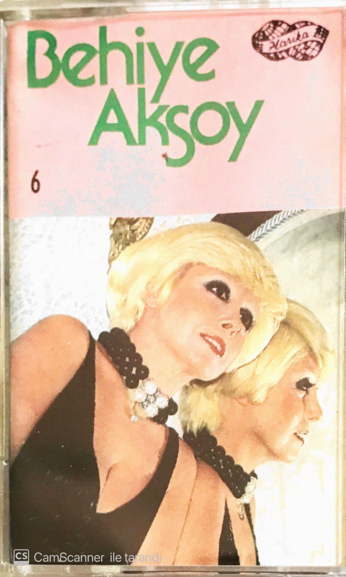 Behiye Aksoy 6 - KASET